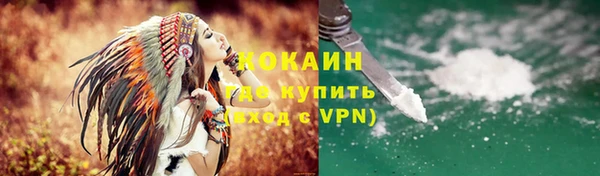 прущие грибы Новозыбков