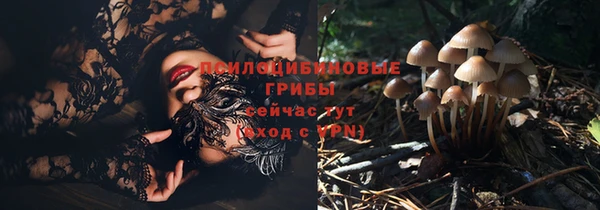 молекула духа Алексин