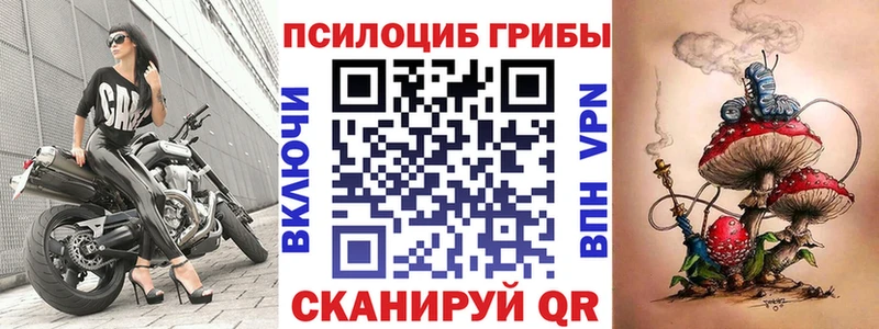 Псилоцибиновые грибы Magic Shrooms  Хотьково 